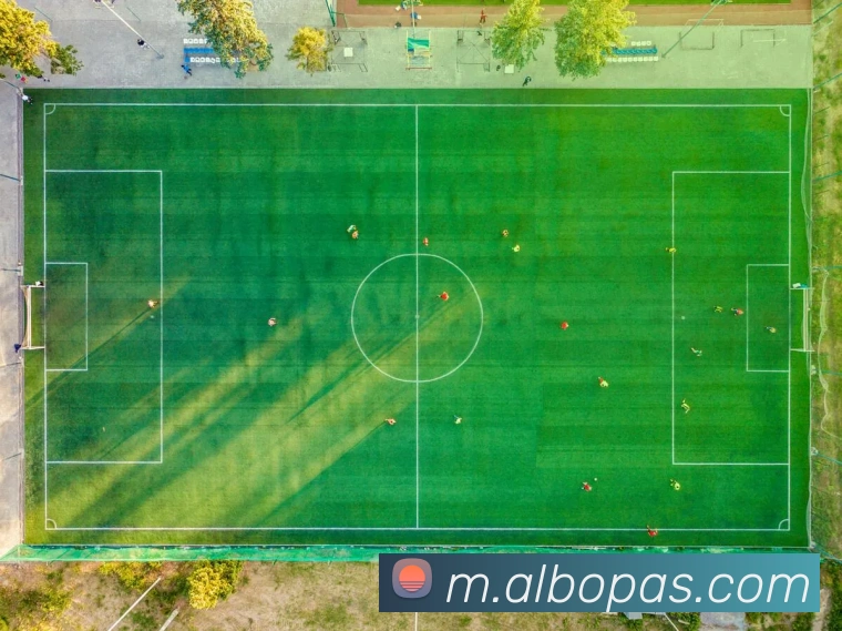 华体会官网登录入口APP 体育赛事宣传图